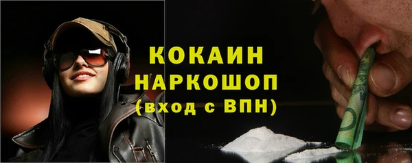 твердый Каменка