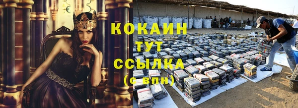 стафф Каменногорск