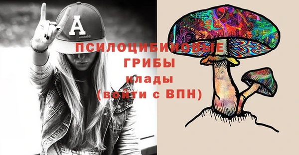 твердый Каменка