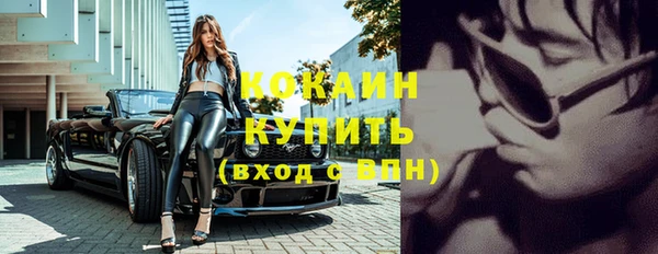 стафф Каменногорск