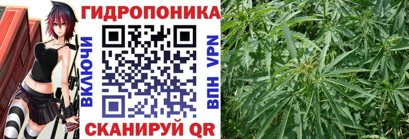 Купить  Снежинск  Бошки марихуана SATIVA & INDICA 